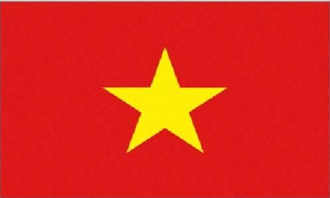 Vietnamese Language